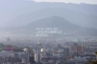 <img class='new_mark_img1' src='https://img.shop-pro.jp/img/new/icons1.gif' style='border:none;display:inline;margin:0px;padding:0px;width:auto;' />ܤʥݥȥɡ۰ɲԤʡʾ뤫鸫벼ĮˤսϥϤ photo by MIRO