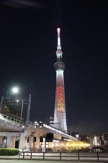 <img class='new_mark_img1' src='https://img.shop-pro.jp/img/new/icons1.gif' style='border:none;display:inline;margin:0px;padding:0px;width:auto;' />ܤʥݥȥɡۥꥹޥĥ꡼ŴƻսϥϤ photo by MIRO