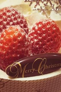 <img class='new_mark_img1' src='https://img.shop-pro.jp/img/new/icons1.gif' style='border:none;display:inline;margin:0px;padding:0px;width:auto;' />ܤʥݥȥɡMerryChristmasȥսϥϤ photo by MIRO