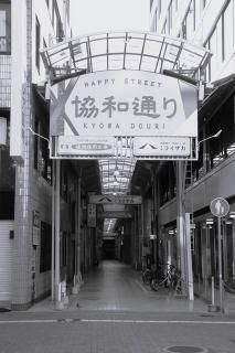 <img class='new_mark_img1' src='https://img.shop-pro.jp/img/new/icons1.gif' style='border:none;display:inline;margin:0px;padding:0px;width:auto;' />ܤʥݥȥɡʼ˸ɱϩԶ̤ΤϤս photo by MIRO2022ǯ
