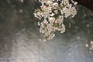<img class='new_mark_img1' src='https://img.shop-pro.jp/img/new/icons1.gif' style='border:none;display:inline;margin:0px;padding:0px;width:auto;' />ܤʥݥȥɡĶ̤δݸƻۤȺγսϤϥս