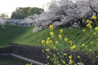 <img class='new_mark_img1' src='https://img.shop-pro.jp/img/new/icons1.gif' style='border:none;display:inline;margin:0px;padding:0px;width:auto;' />ܤʥݥȥɡĶ̤δݸκȺڤβ֣γսϤϥս
