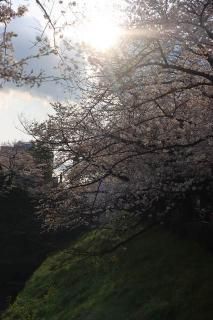 <img class='new_mark_img1' src='https://img.shop-pro.jp/img/new/icons1.gif' style='border:none;display:inline;margin:0px;padding:0px;width:auto;' />ܤʥݥȥɡĶ̤δݸκγսϤϥս