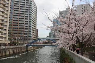 <img class='new_mark_img1' src='https://img.shop-pro.jp/img/new/icons1.gif' style='border:none;display:inline;margin:0px;padding:0px;width:auto;' />ܤʥݥȥɡܹȿܹκۤɤ礦γսϤϥս