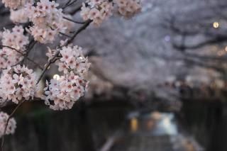 <img class='new_mark_img1' src='https://img.shop-pro.jp/img/new/icons1.gif' style='border:none;display:inline;margin:0px;padding:0px;width:auto;' />ܤʥݥȥɡܹܹդܹκγսϤϥս
