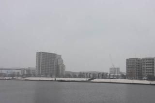 <img class='new_mark_img1' src='https://img.shop-pro.jp/img/new/icons1.gif' style='border:none;display:inline;margin:0px;padding:0px;width:auto;' />ܤʥݥȥɡκ̸ëԥ쥤ΤϤϥս