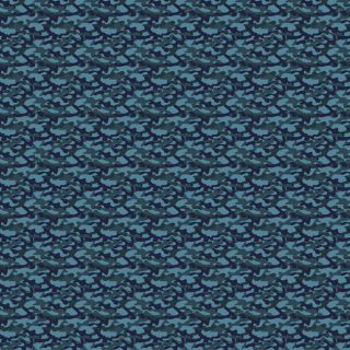 ɥ饤å塡ڥץѥݥꥨƥϡ̵