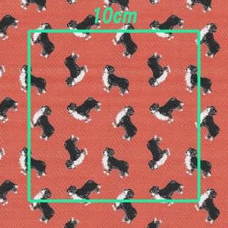 IruyoϡСˡ㥫ɿݥꥨƥ10075cm100cmù