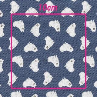 Iruyoϡ⥨㥫ɿݥꥨƥ10075cm100cmù