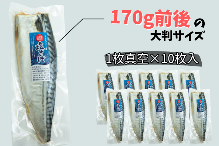 塩さば・その他 塩さば・その他