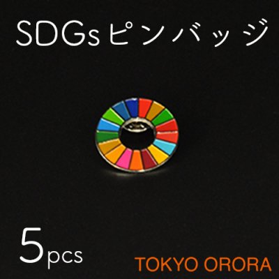 SDGsピンバッジ(5個セット)
