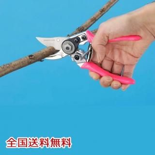 饯饯ϥ   Ф ޤ ǥ˥  ߺ