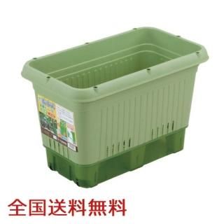 弰ڱץ󥿡650() ڱ ڱॳƥ ں