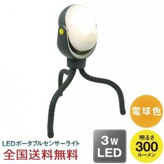 ɤǤ⥻󥵡饤 300 LED