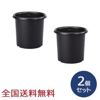 ȭ 6 ľ210mm ȭ ǥ˥  ץ饹å2ĥå