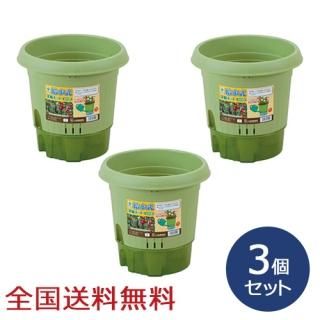 弰ڱݥå300 ڱ ڱॳƥ ȭ ݥå ںݡ3ĥå