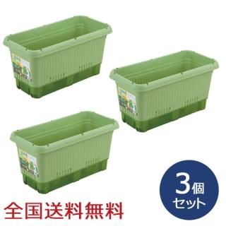 弰ڱץ󥿡500() ڱ ڱॳƥ ںݡ3ĥå