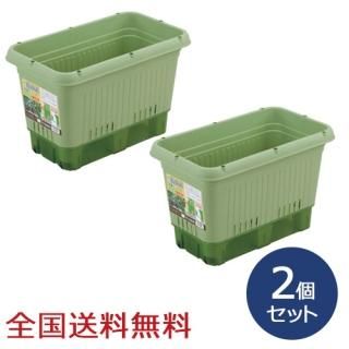 弰ڱץ󥿡650() ڱ ڱॳƥ ںݡ2ĥå