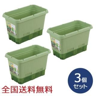 弰ڱץ󥿡650() ڱ ڱॳƥ ںݡ3ĥå