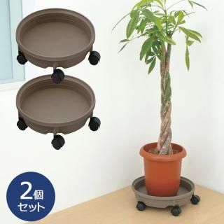 ȭץݥȥ㥹դ 350 ⥹֥饦 ץ󥿡2ĥå