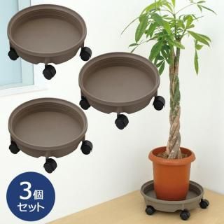 ȭץݥȥ㥹դ 350 ⥹֥饦 ץ󥿡3ĥå