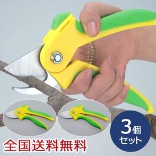 ڥꥫϤ ǽϤ  Ф ޤ ǥ˥  ߺϡ3ĥå