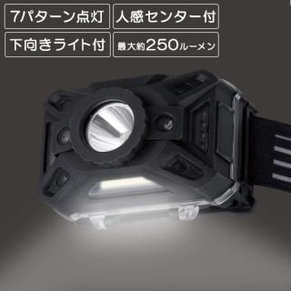 ⡼󥻥󥵡դ 5W LEDإåɥ饤 LED إåɥ饤 250롼 󥵡 ʹ ɺ ȥɥ