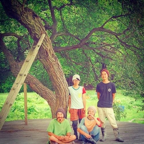 ワッカファーム / 無農薬・無化学肥料 旬の野菜セット - 自然食COTAN