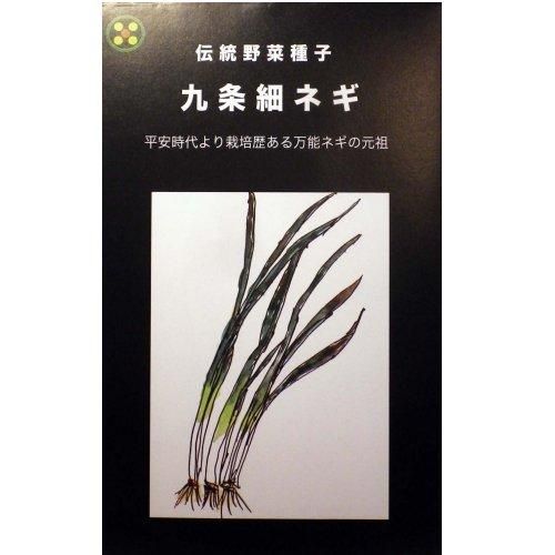 浜名農園 伝統野菜種子 九条細ネギ 自然食cotan コタン 岡山市の自然食料品店 浜名農園 伝統野菜種子 九条細ネギ 自然食cotan コタン 岡山市の自然食料品店