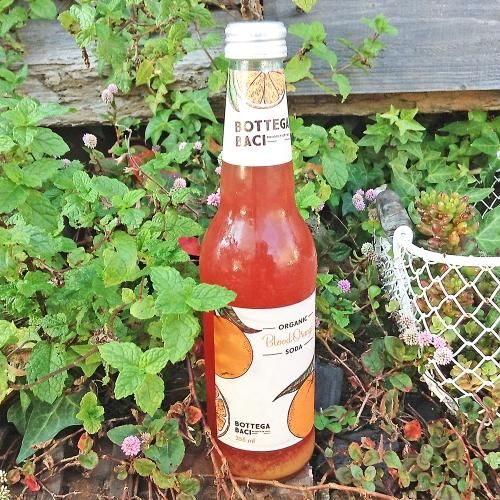 バーチ / ボッテガバーチ ブラッドオレンジソーダ 355ml