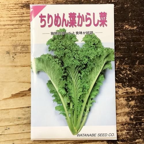 ̾ / ڼ դ餷