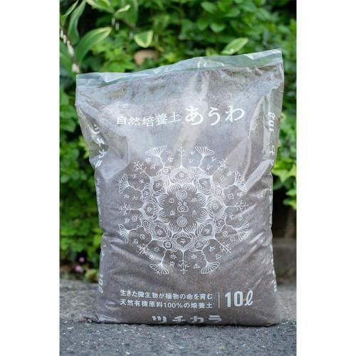 ĥ / ڡؤ10L