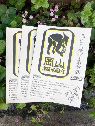 <img class='new_mark_img1' src='https://img.shop-pro.jp/img/new/icons15.gif' style='border:none;display:inline;margin:0px;padding:0px;width:auto;' />ȹ(ƥ)  ϴ