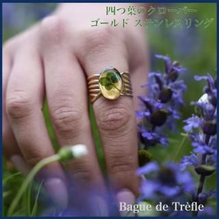 <img class='new_mark_img1' src='https://img.shop-pro.jp/img/new/icons14.gif' style='border:none;display:inline;margin:0px;padding:0px;width:auto;' />ͤդΥСɥ󥰡 ƥ쥹롡(Ĵǽ)ڥ졦ɥȥե