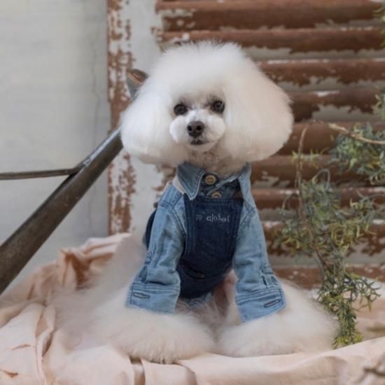 犬服・アクセサリー pp* closet 犬服・アクセサリー pp'closet PP* closet 犬服/ドッグウェア