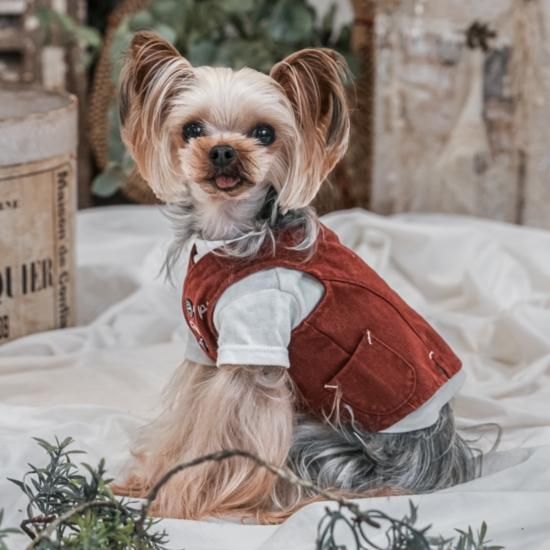 【メーカー直売】 ITALIAN VINTAGE GILET pp*closet - 犬服・アクセサリー