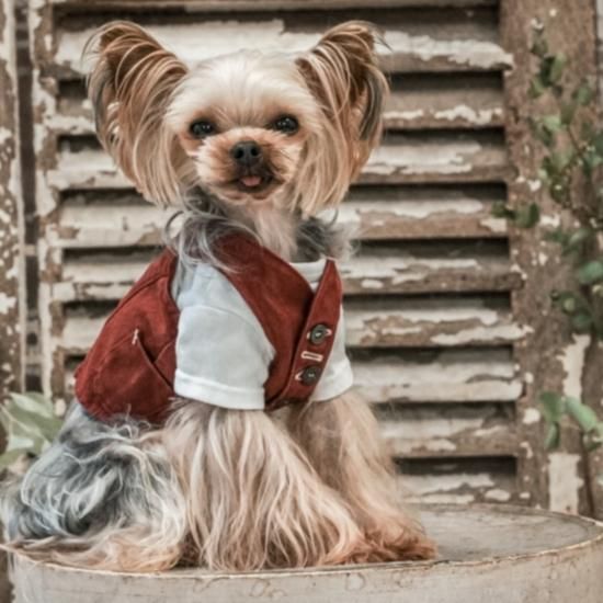VINTAGE ITALIAN GILET - pp*closet