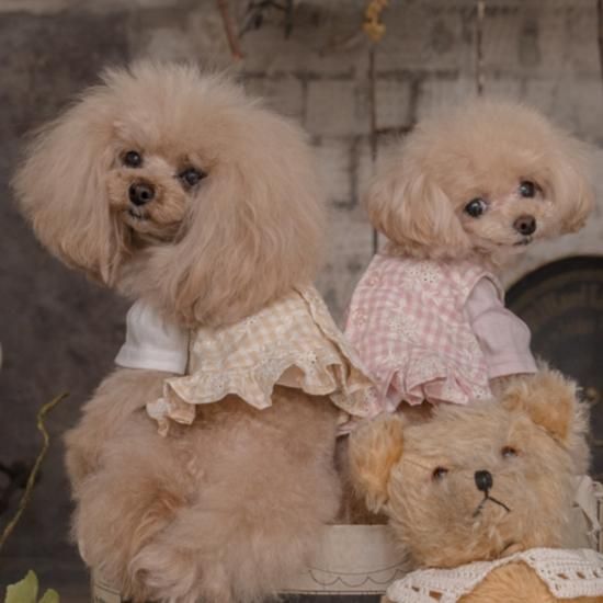 犬服・アクセサリー pp* closet GIRLY NATURAL DRESS GIRLY NATURAL DRESS - pp*closet