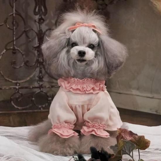 SAKURA DRESS - pp*closet