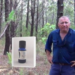 アボリジニの伝承 特許取得蒸留法で48時間抽出 (KAKADU BLUE）深みある森の香り 真正ブルーサイプレス精油 2019年3月産  (メール便可) 10ml