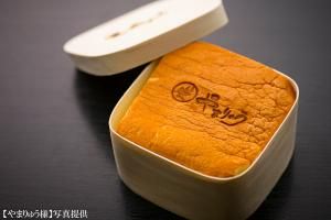 ¡Ú´ë¶ÈÍ͸þ¤±¡¦¥±¡¼¥¹ÆÃ²Á¡Û<br>¾¾·ÐÌÚ¤ï¤Ã¤Ñ³Ñ·¿100³Ñ¡¡200¸Ä<br>ÆâÀ£100¡ß100¡ßH45Ð