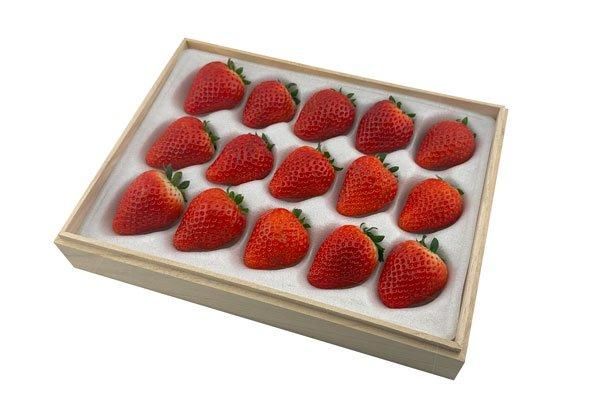 イチゴ15 桐いちご箱 イチゴ15個用 1ケース(36個入) ※クッション別売り