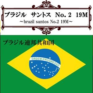 ブラジル・サントスNo.2 19M（200g） - 伊吹珈琲店