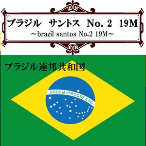 ブラジル・サントスNo.２　１９M（２００ｇ）