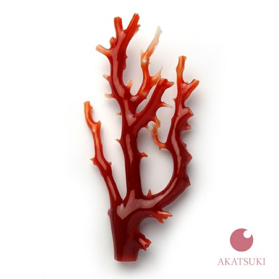 血赤珊瑚 ルース 高知県産血赤珊瑚の14.4mm玉 自分だけのプレシャス