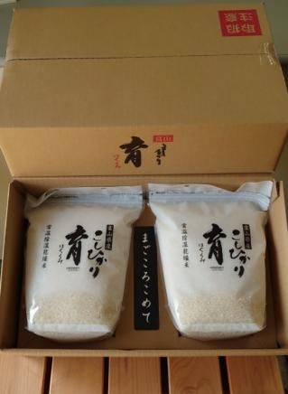 コシヒカリ10kg✖️2袋 コシヒカリ10k × 二袋