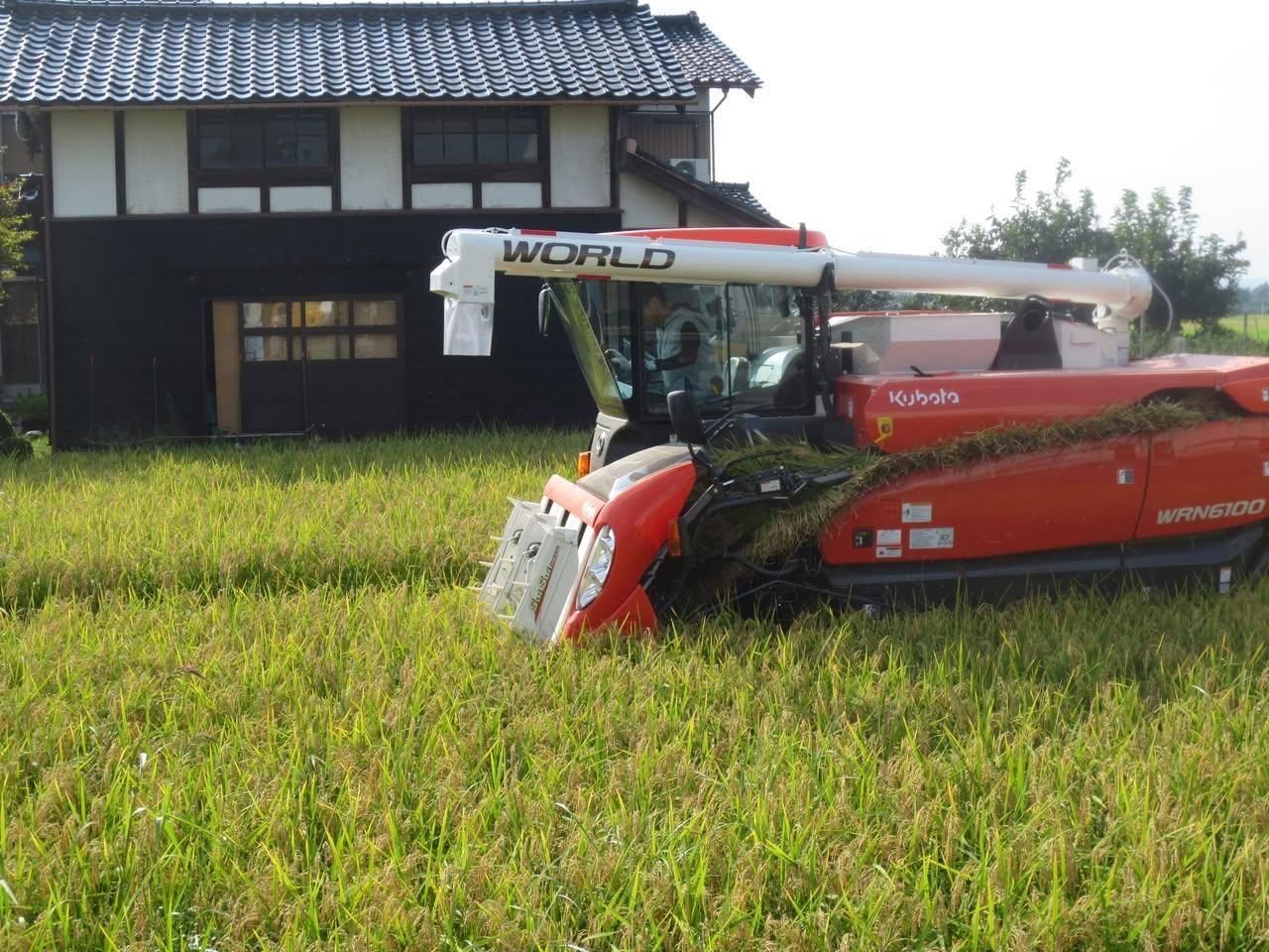 有限会社カナダ農園