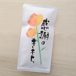 ᡼ʲβ֡ƥХå 2g10Pˡڿ/ľ/ƥХå 