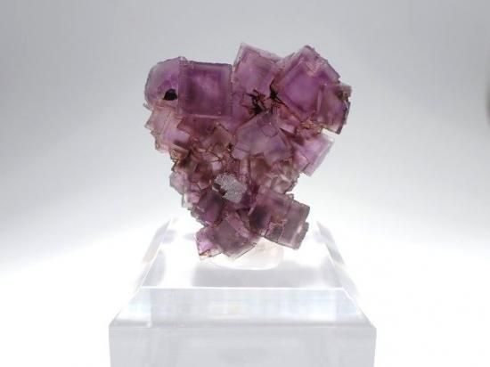 イリノイ産フローライト- 11MINERAL『一つ一つ厳選した鉱物 イリノイ産フローライト- 11MINERAL『一つ一つ厳選した鉱物