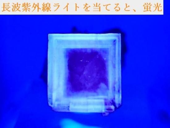 内モンゴル 「青色」「納戸色」「若竹色」グラデーションフロー